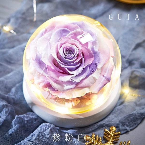 Glass Dome The Beauty and Beast Rose