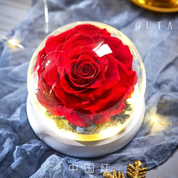 Glass Dome The Beauty and Beast Rose